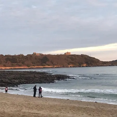 Number 6 * Falmouth